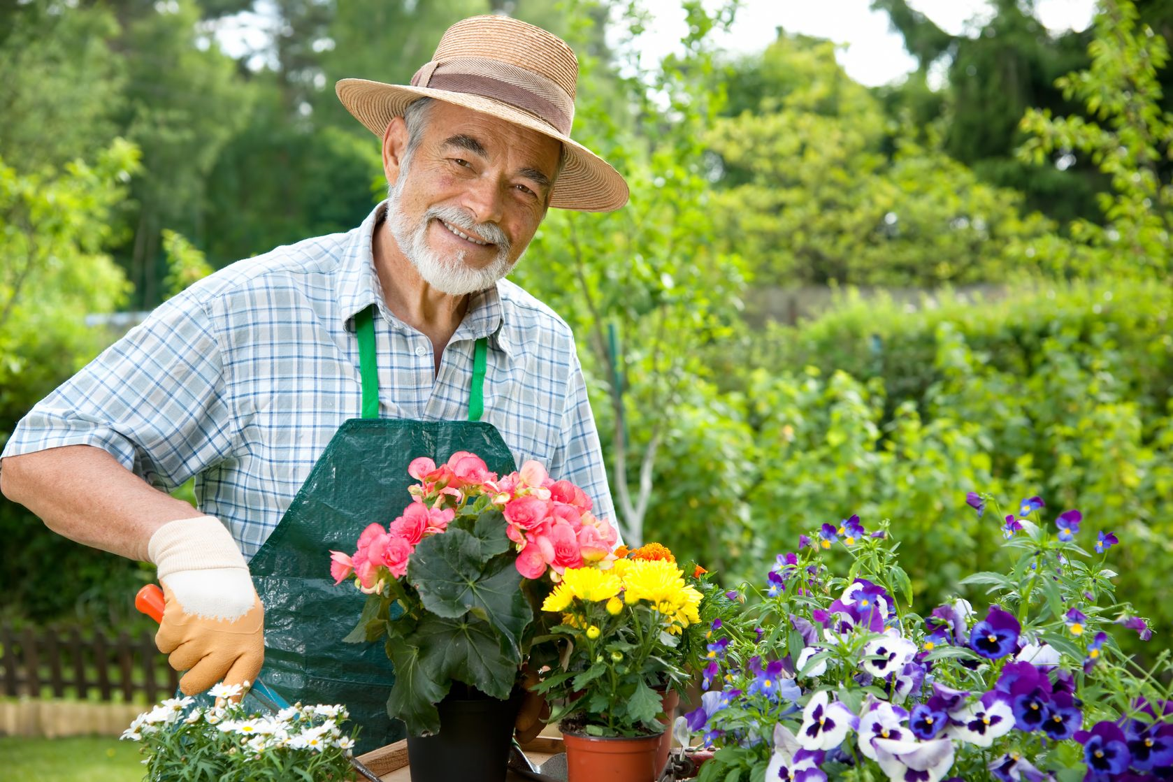 Senior Care Los Angeles Gardening